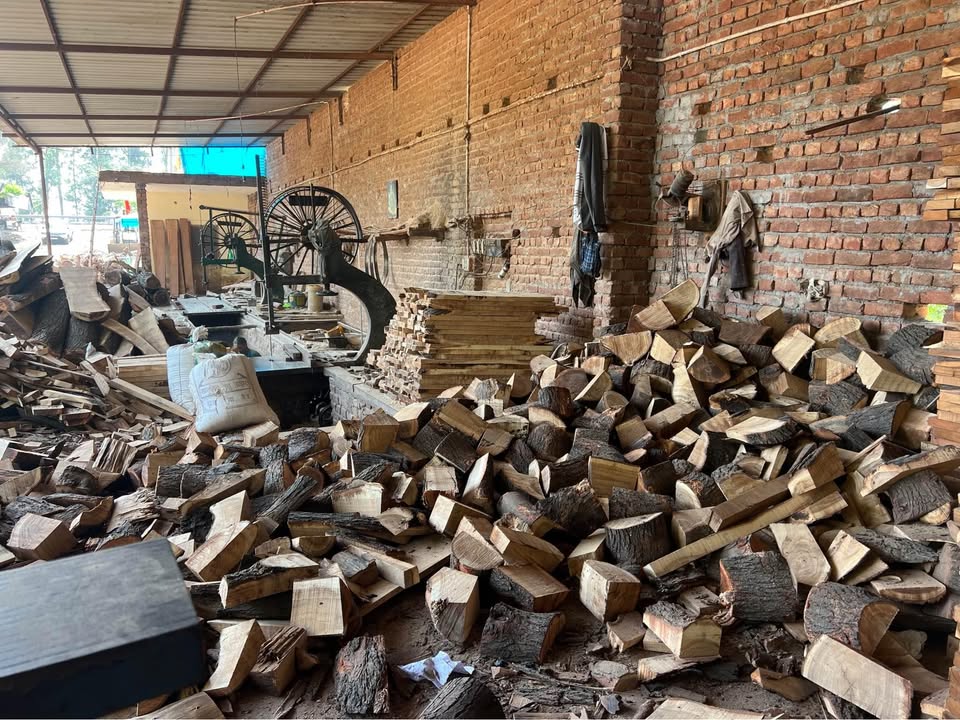 Firewood 4