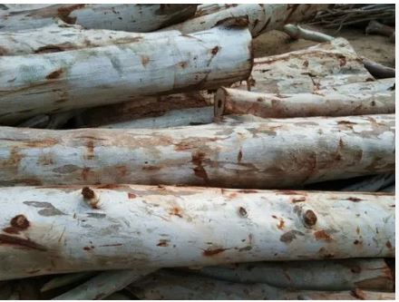 Firewood 5